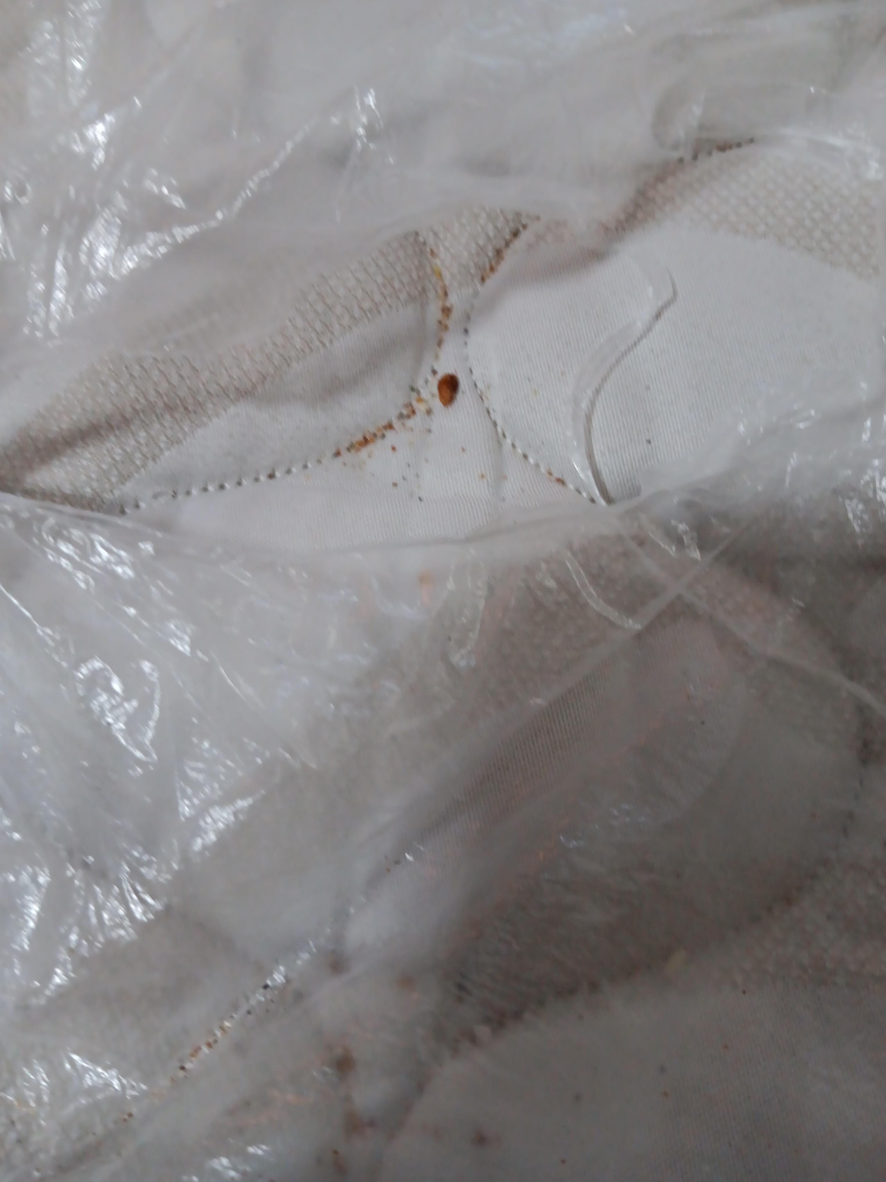 Dirt on the sofa bed