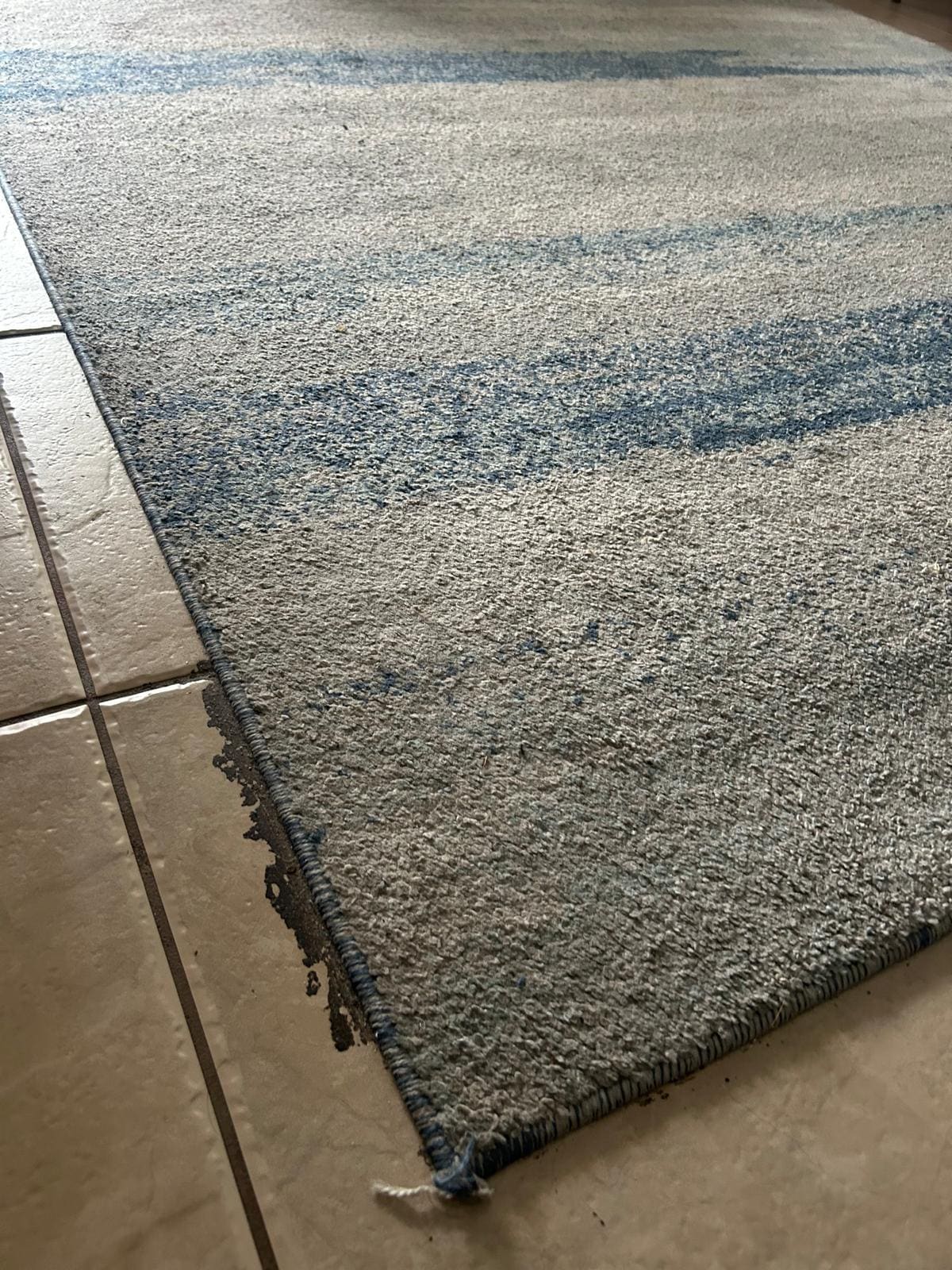 Main rug in living area needs cleaning / replacing 