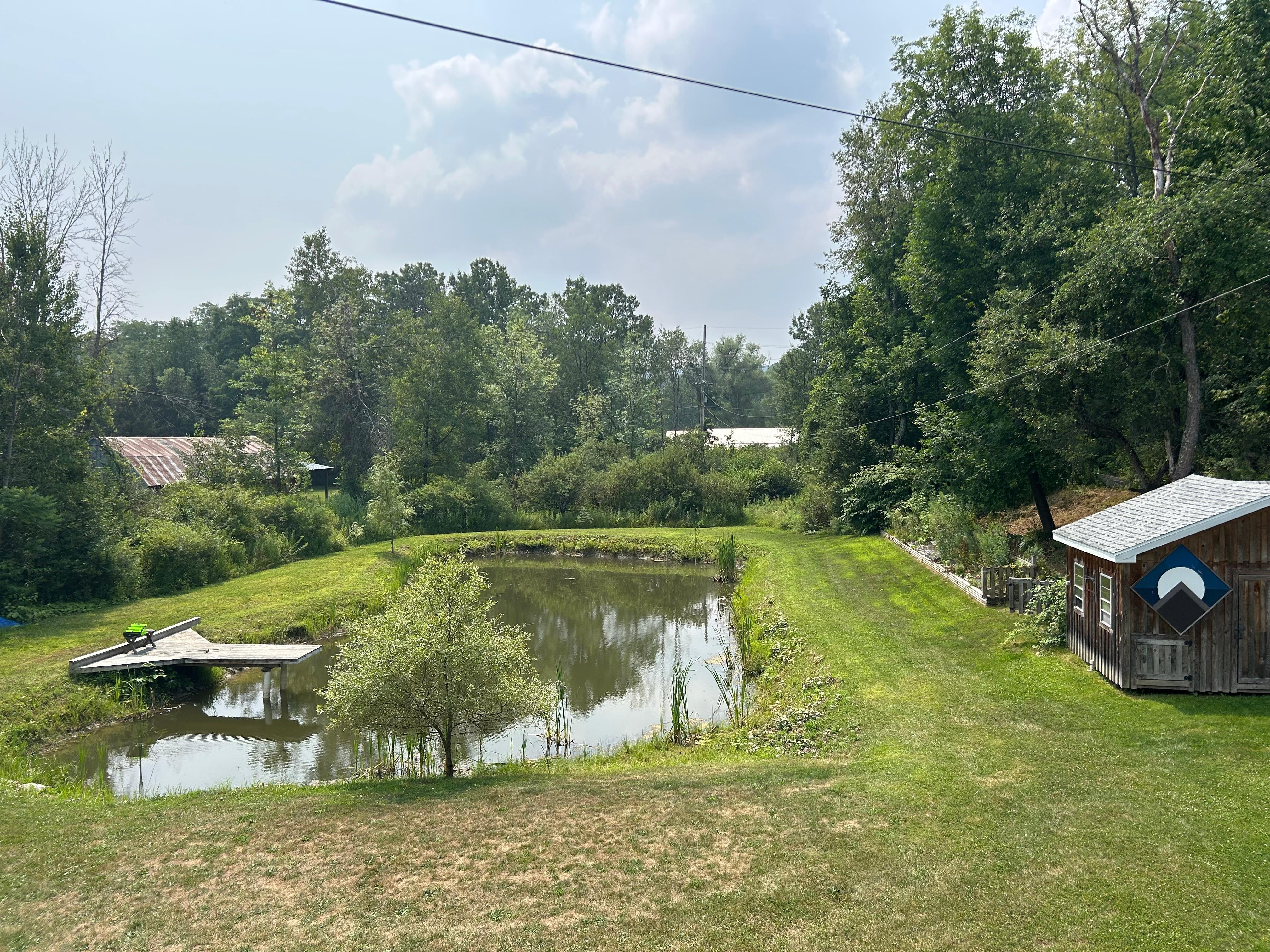 Photos of the serene backyard