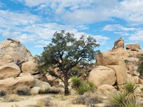 Hidden Valley Trail at Joshua Tree NP