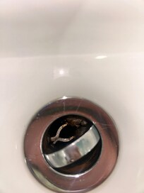 Cigarette butt in sink plug hole