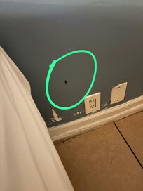 Haga zoom y verá lo sucio del lugar y mal estado