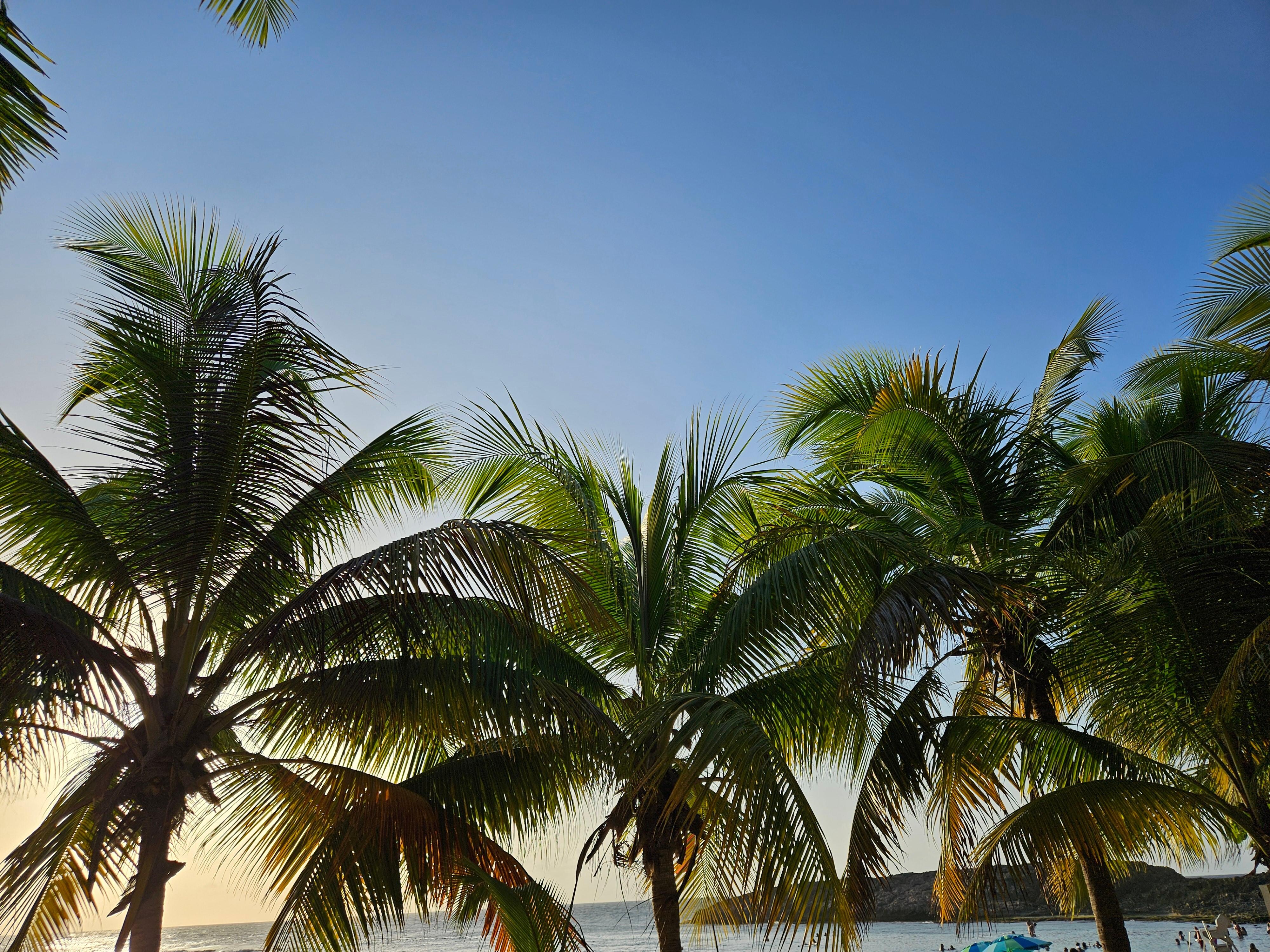 Jobos beach