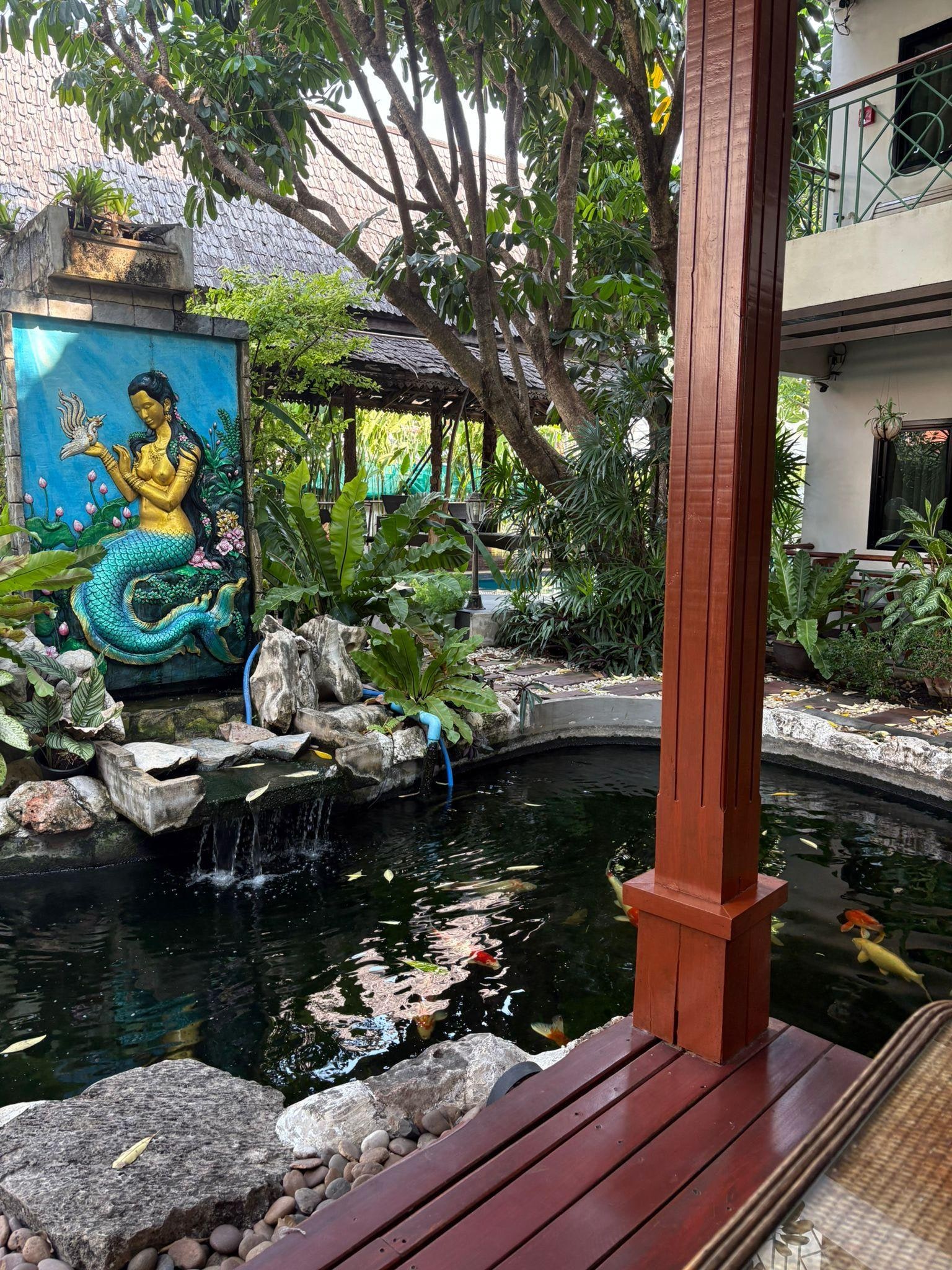 Koi pond 