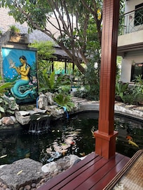 Koi pond