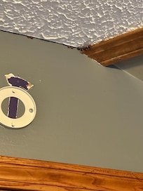 Cluster of Asian beetles