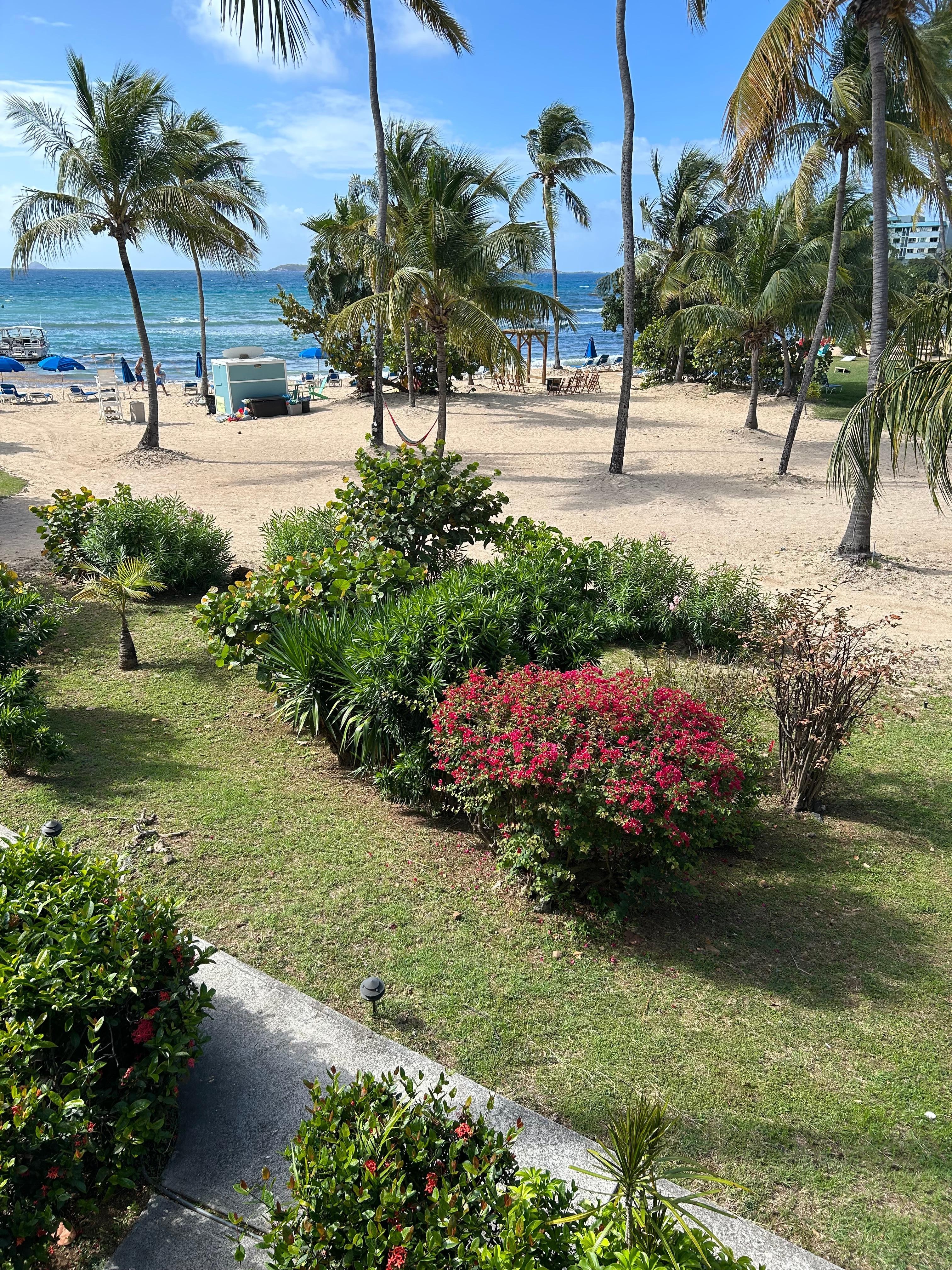 Beautiful view from my room