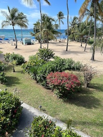 Beautiful view from my room