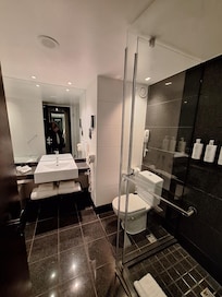 Bathroom had shower and tub