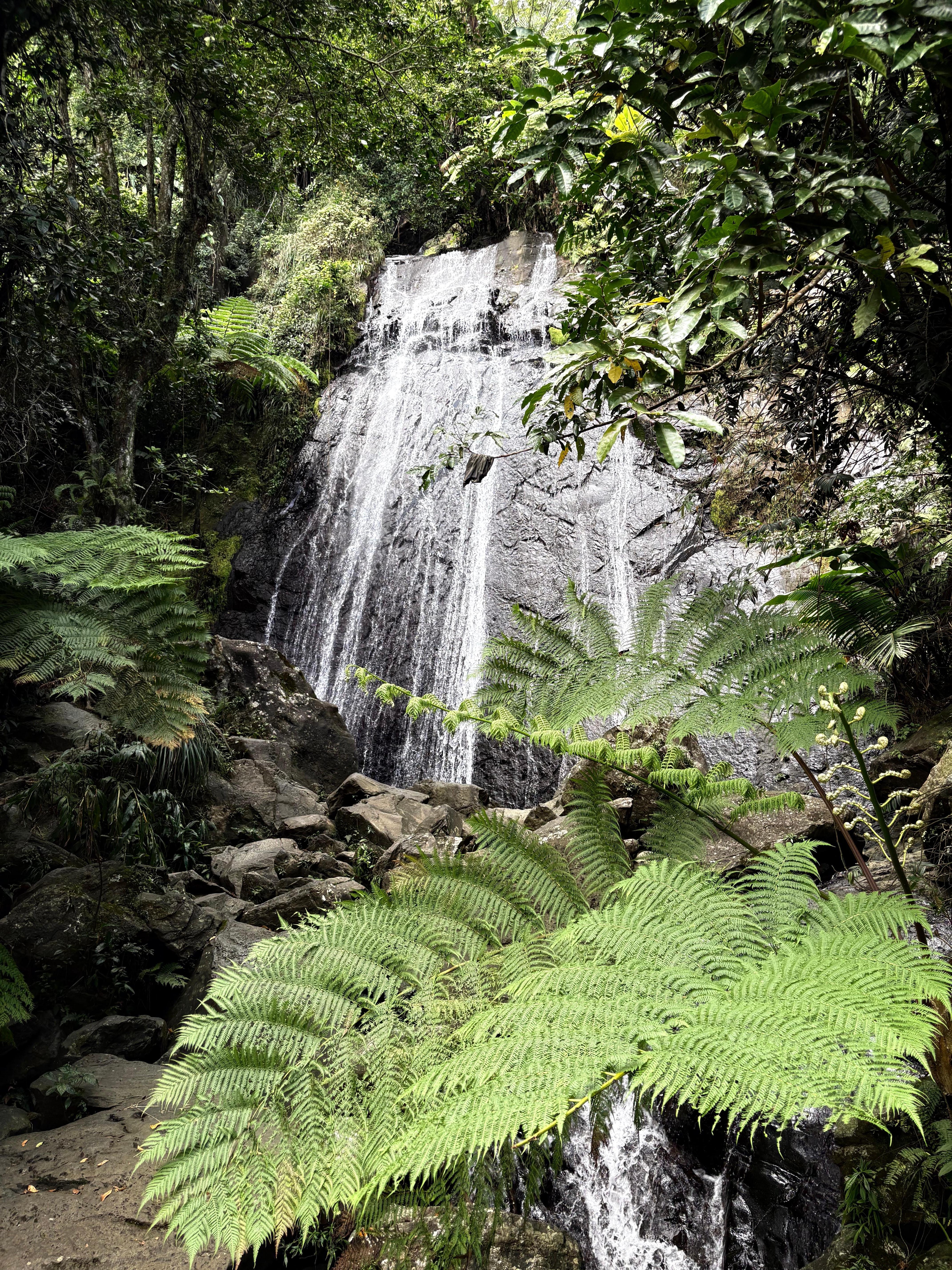 Nearby El Yunque National Park is stunningly beautiful!