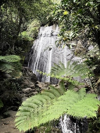 Nearby El Yunque National Park is stunningly beautiful!
