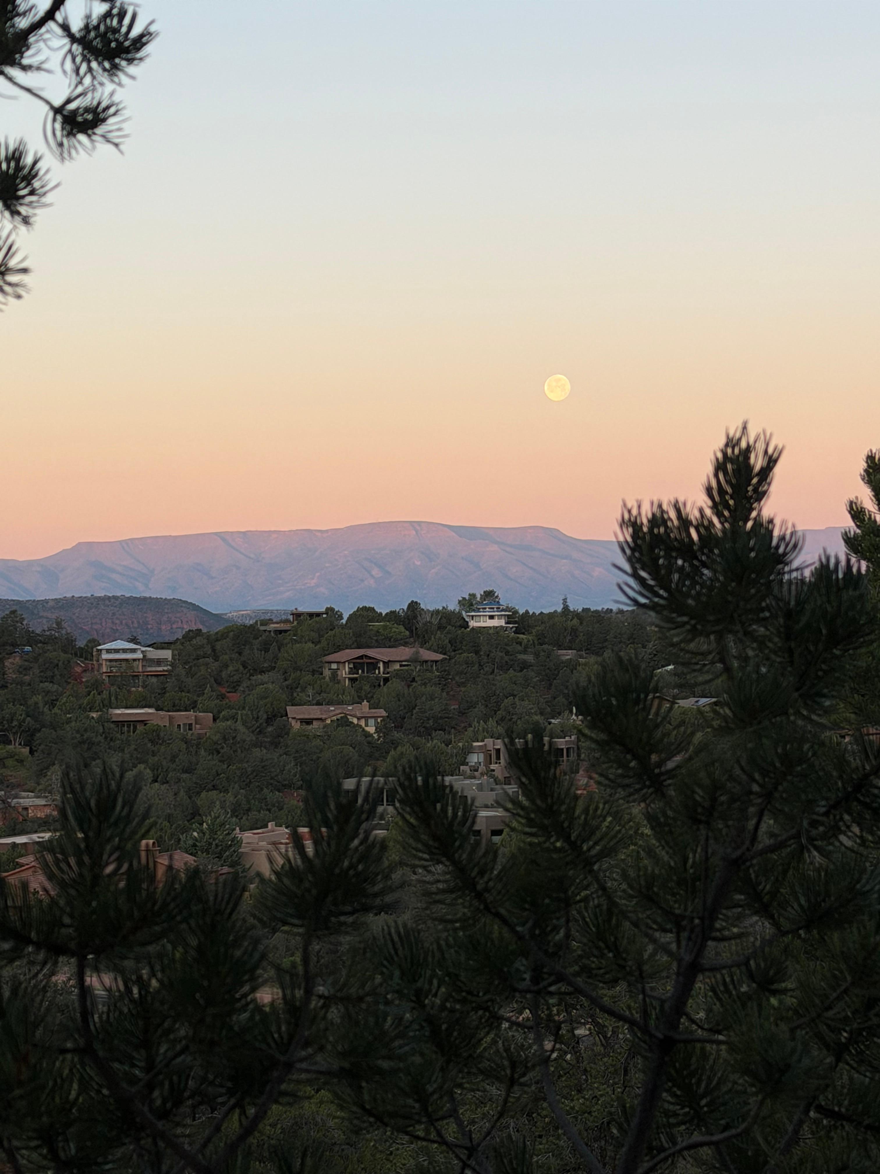 Moonset from the porch