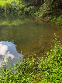 Runoff pond at the bottom of the hill.