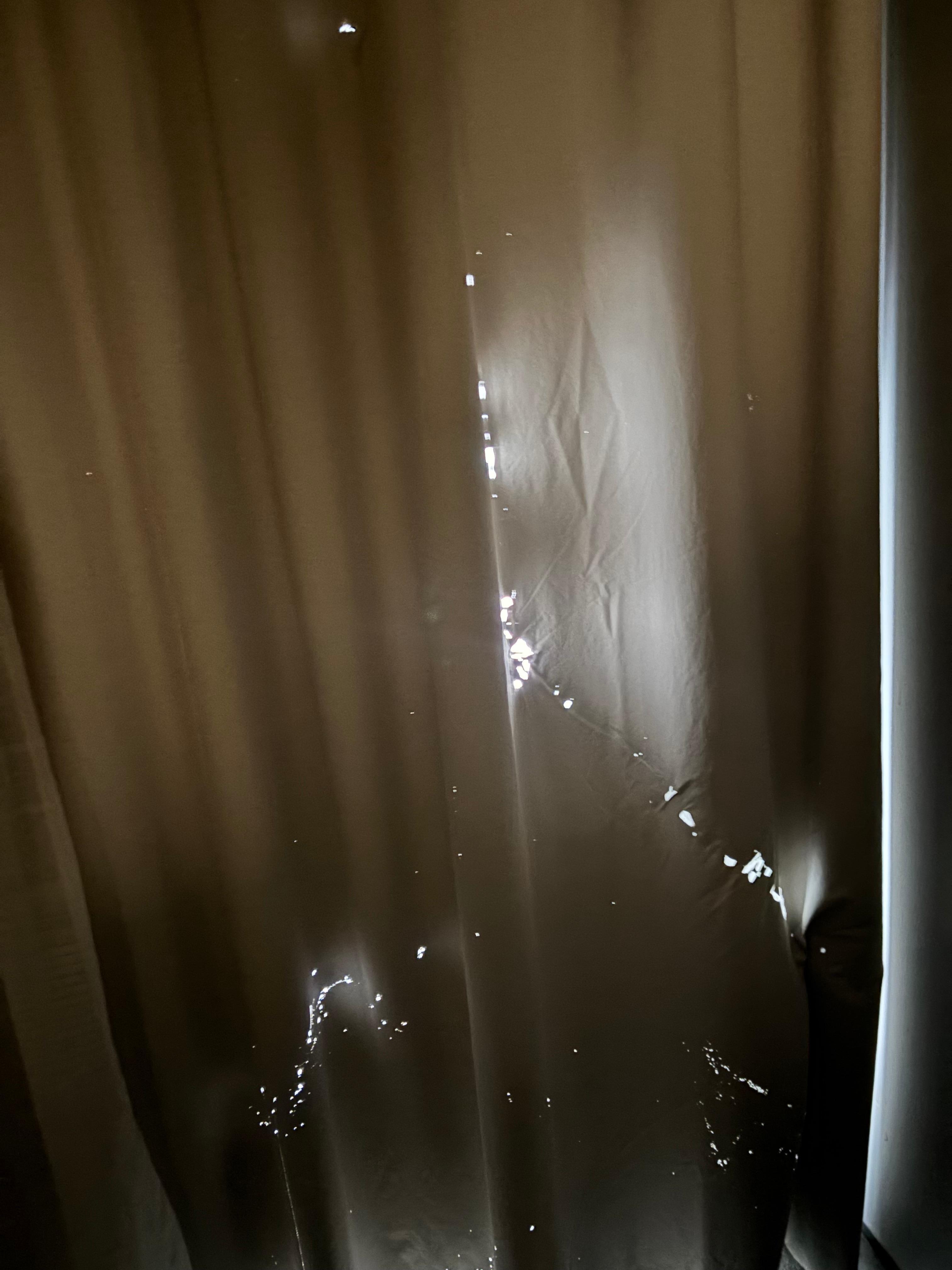Not sure what was chewing on this curtain. 