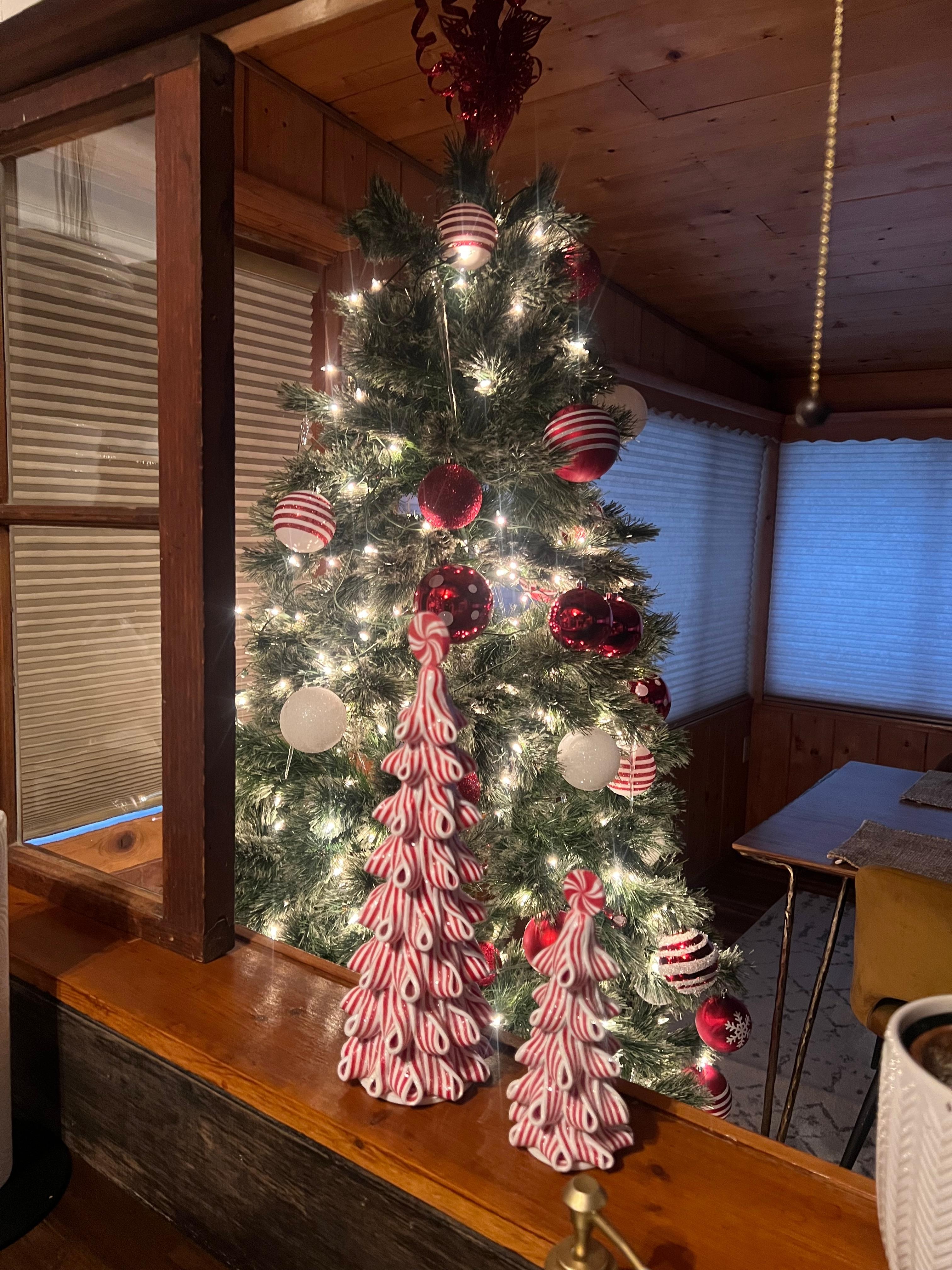 Christmas decor was such a beautiful touch.