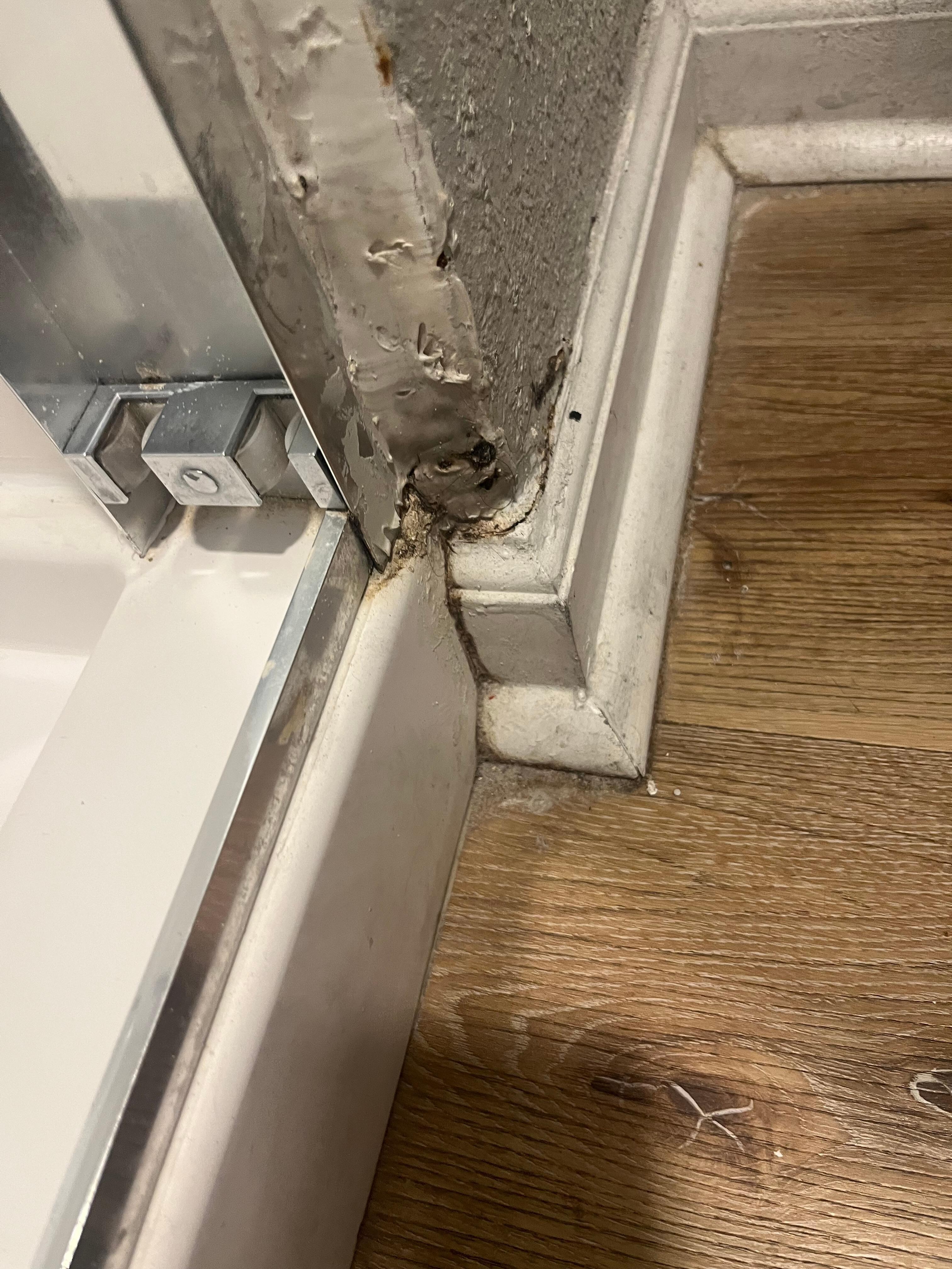 Mold