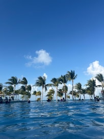 Beautiful view of the pool.