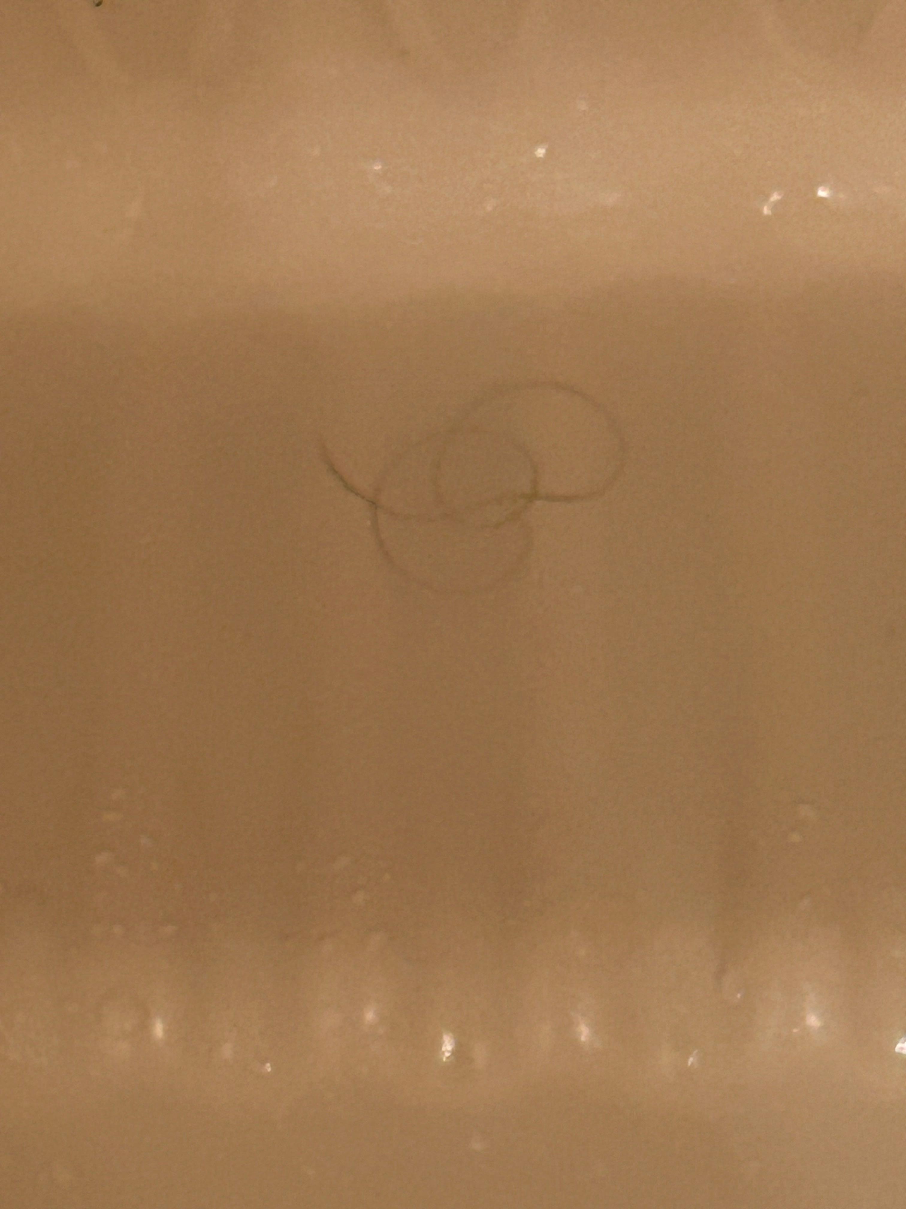 Hair on bathtub soapholder