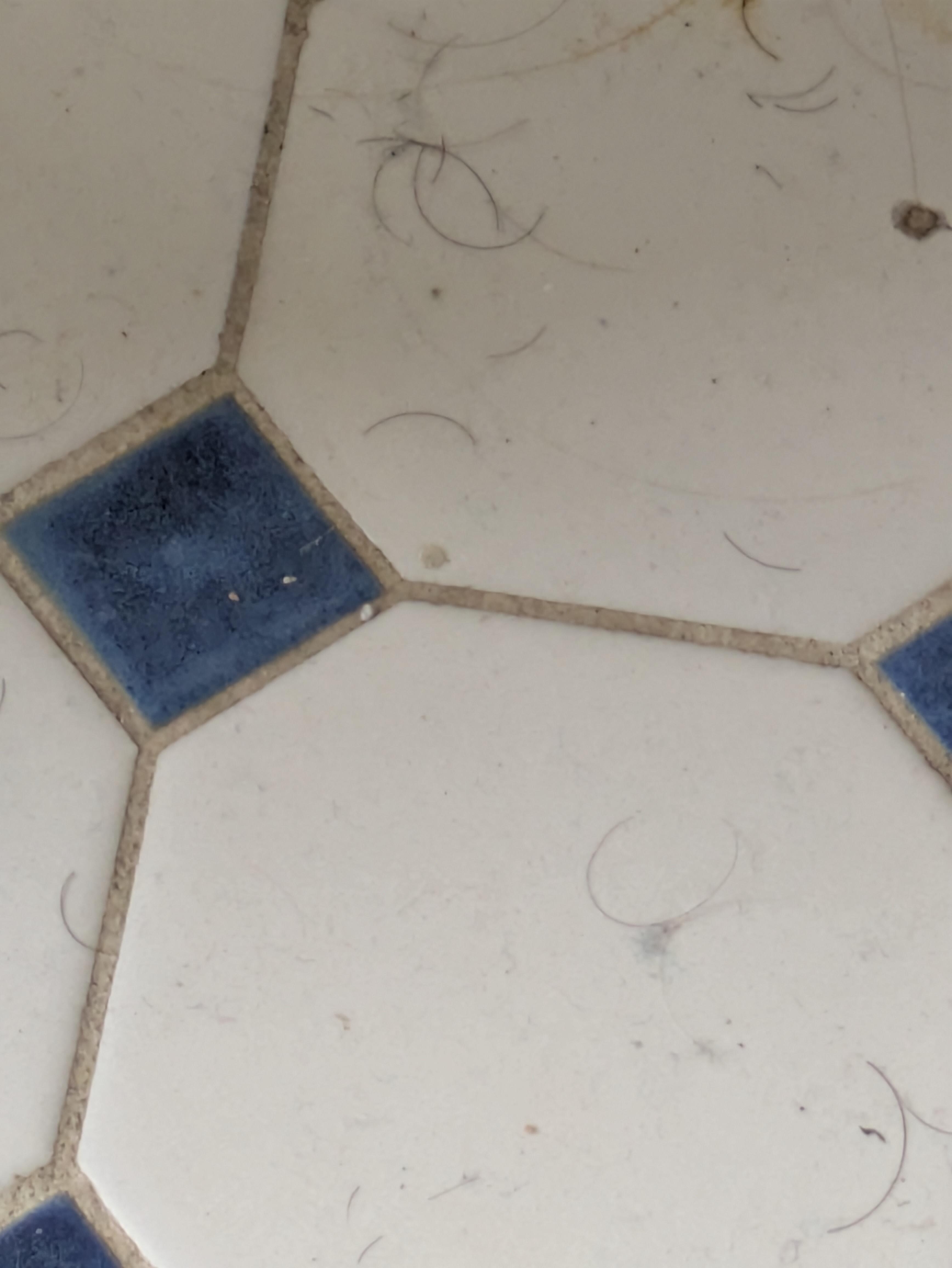 Hair on bathroom floor