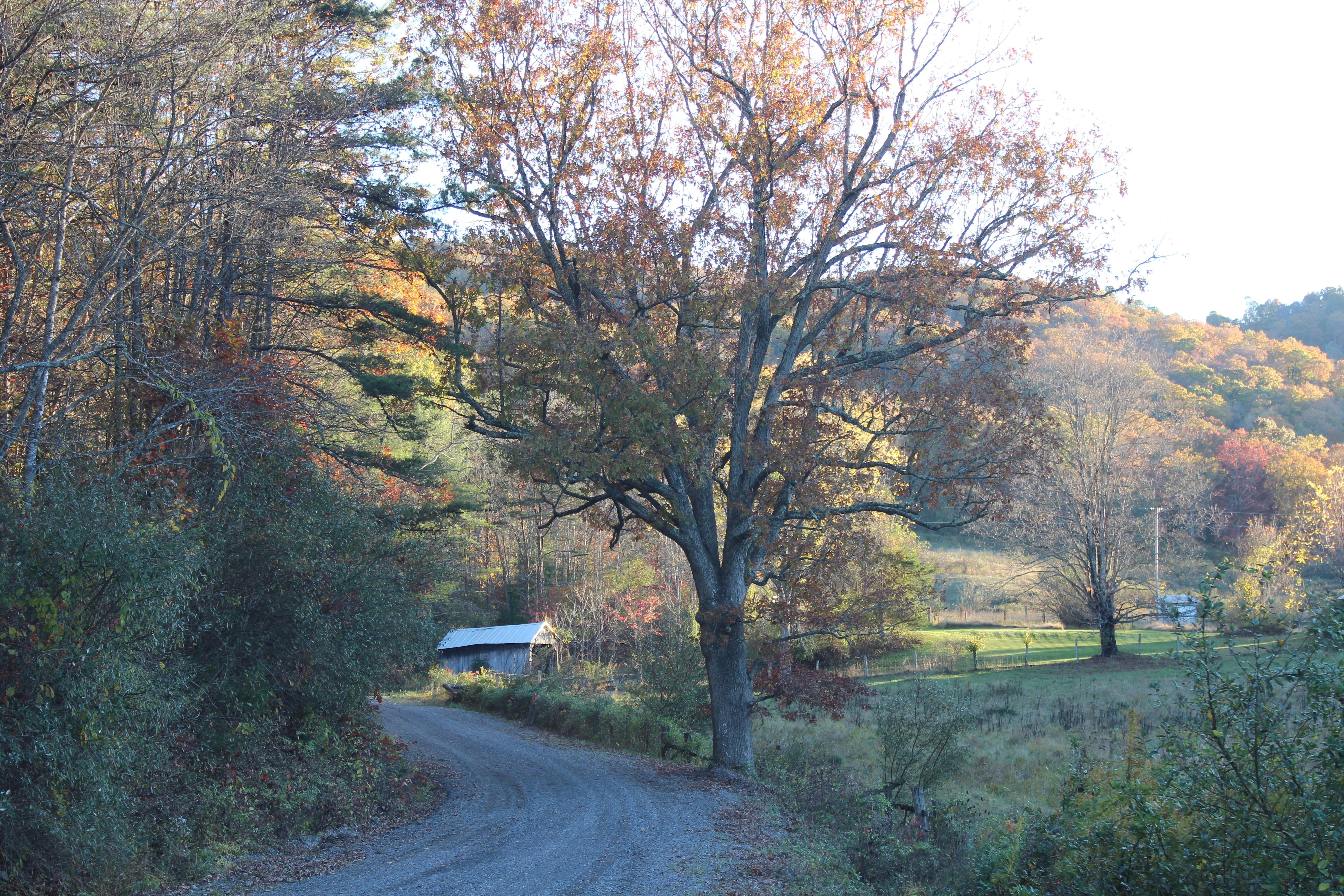 Switzerland Trail in front of the retreat.
