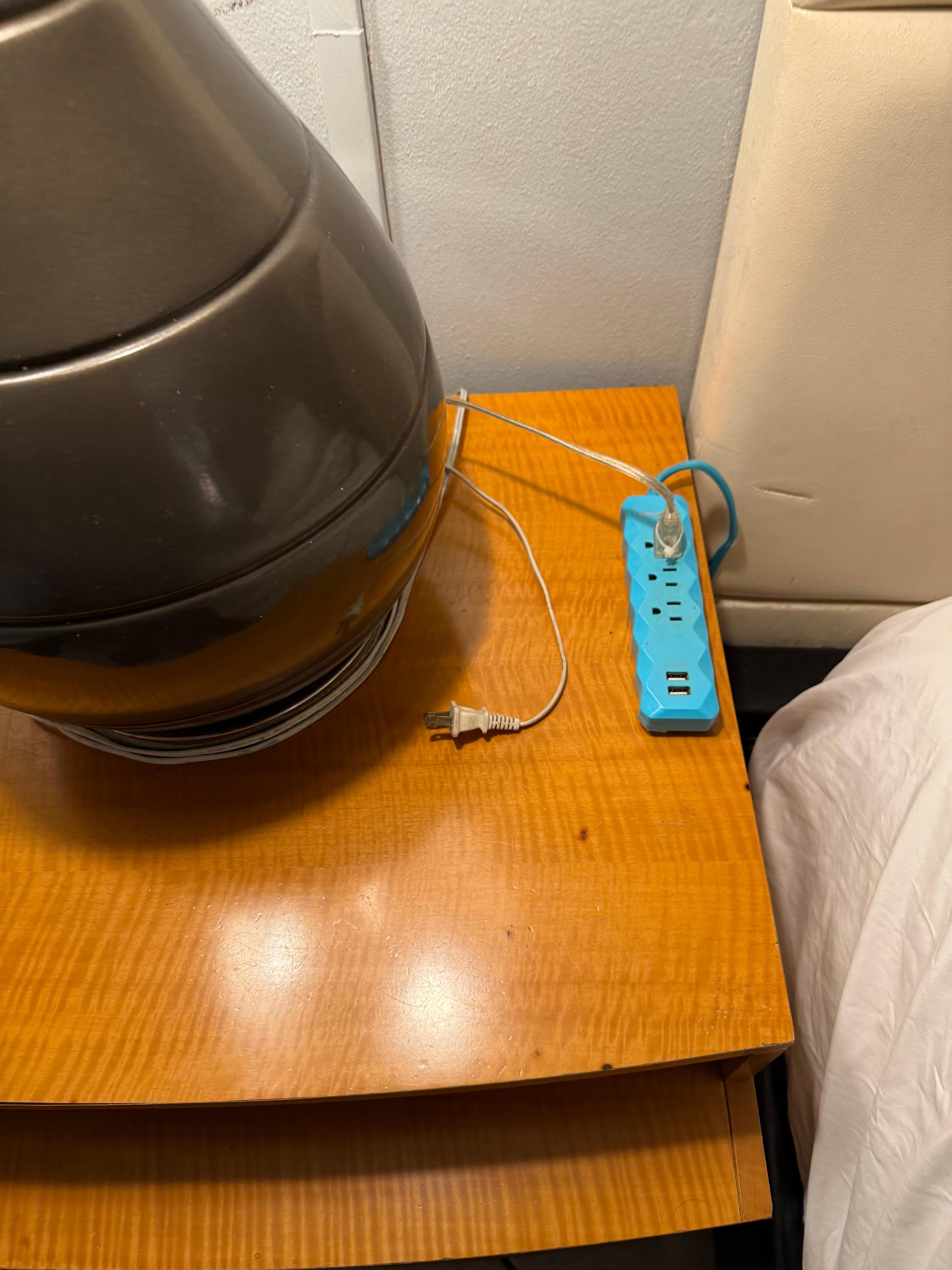 Fancy plug in lamp and fan controls