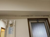 The mold continues