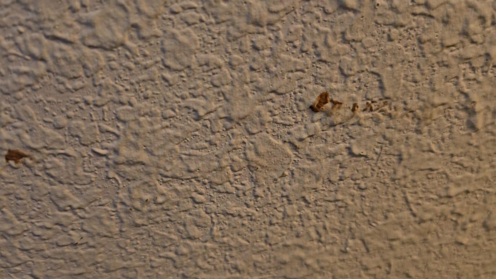 Room wall