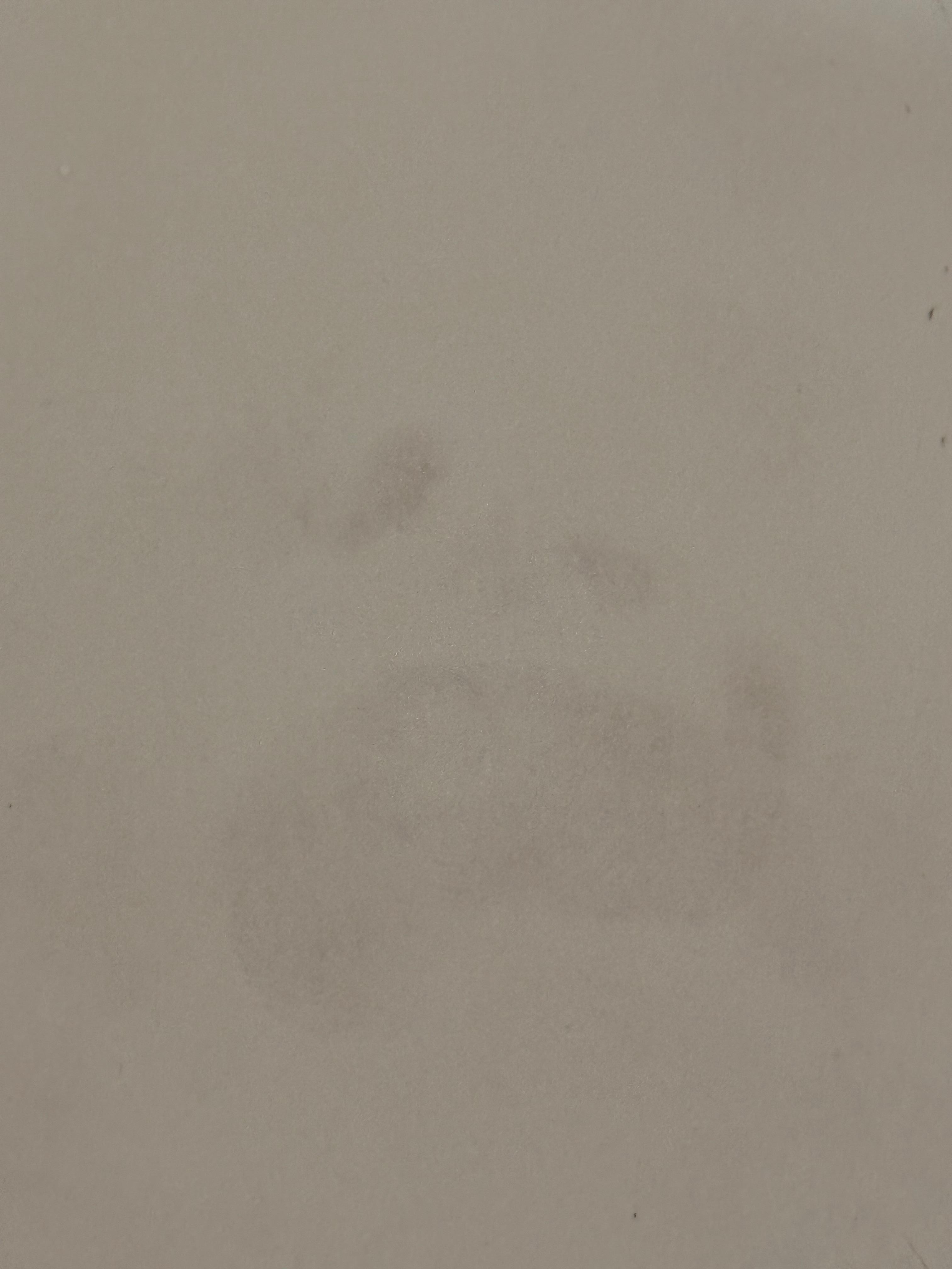 Footprint in the tub