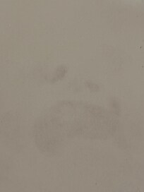 Footprint in the tub