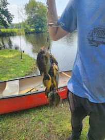 A good day fishing beats any day at work!