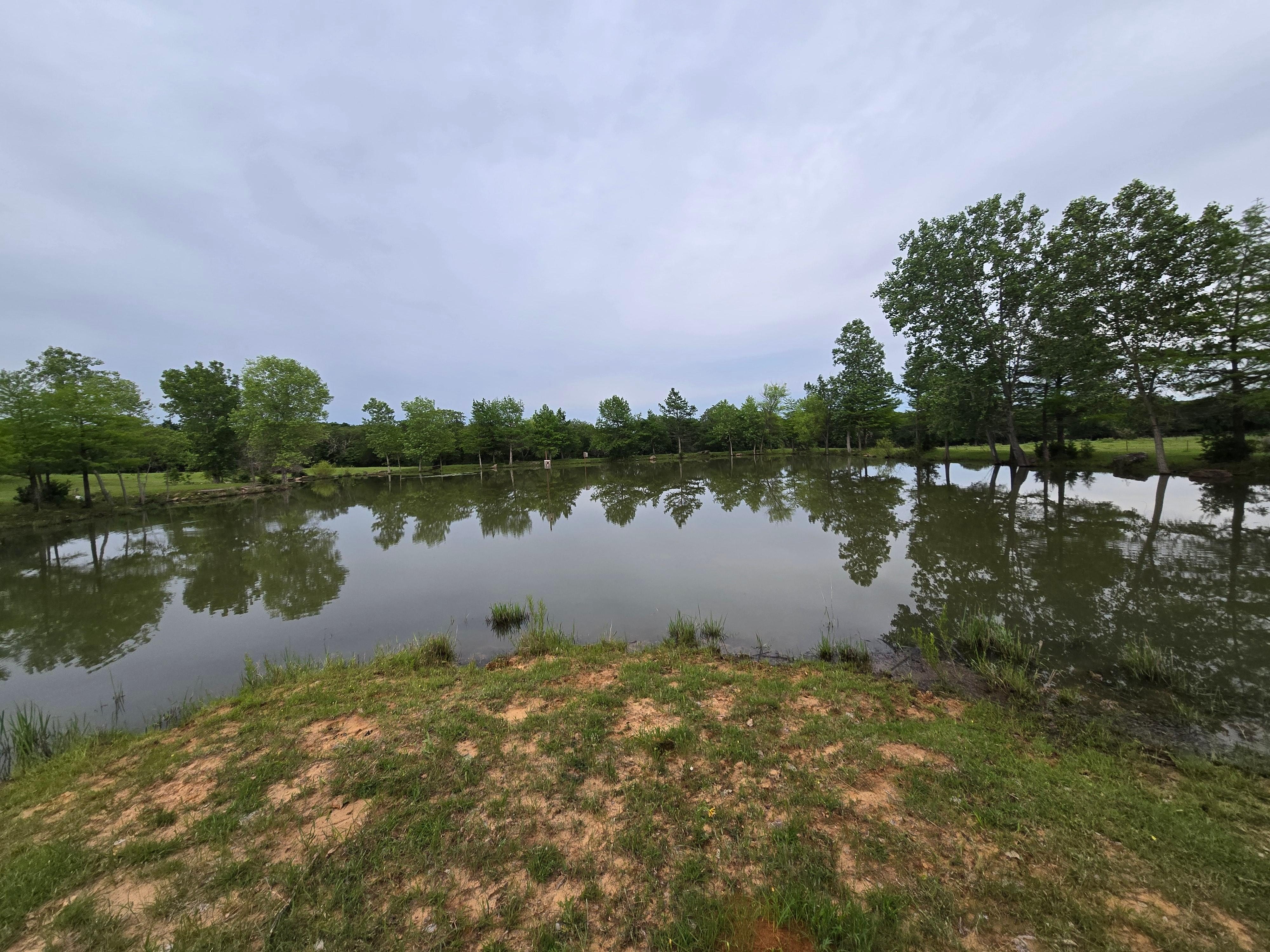 Large pond