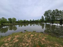 Large pond