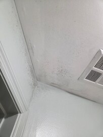 Mold all over bathroom ceiling.