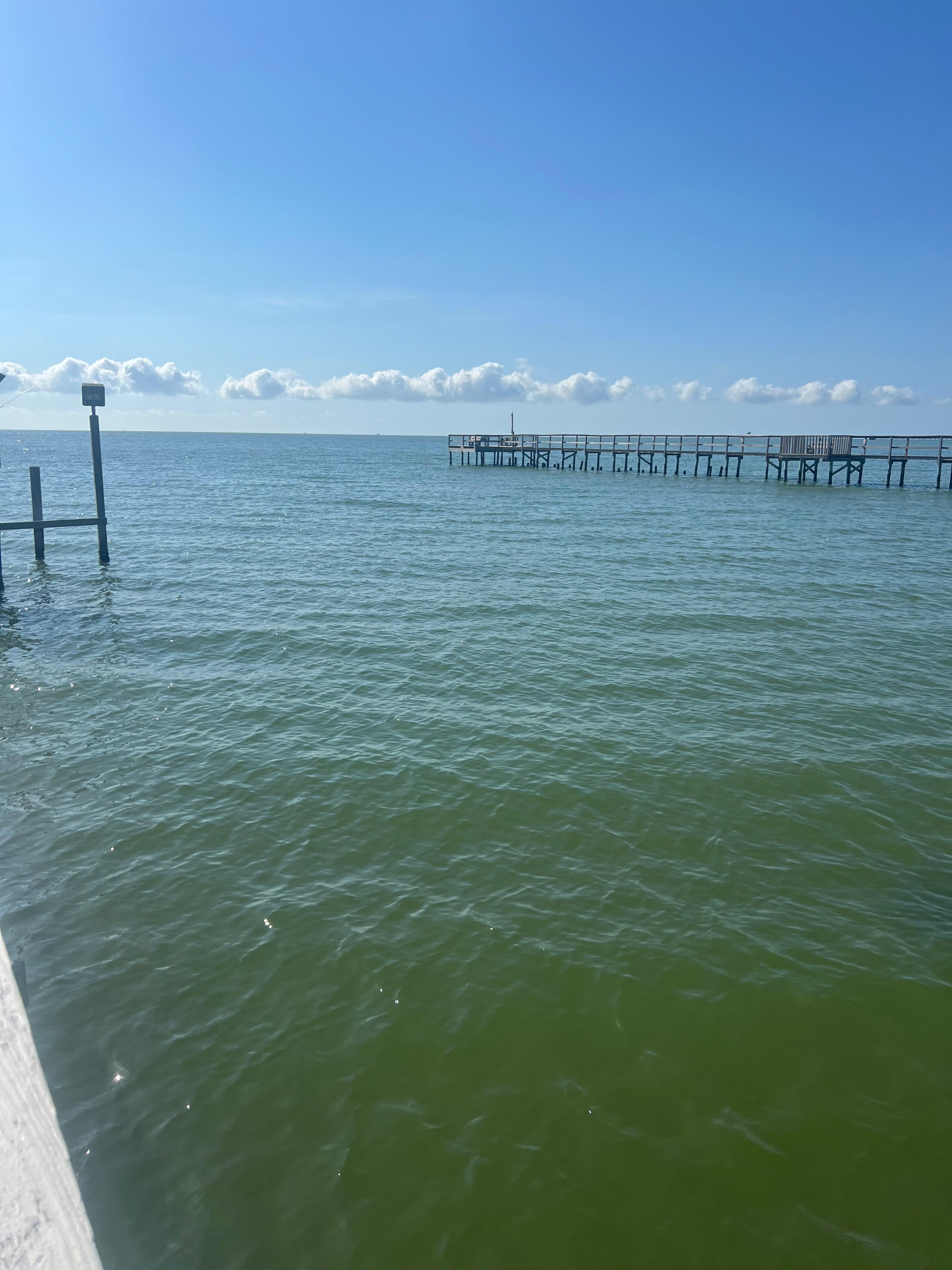 The view from the pier 