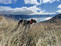 Greta Track