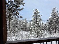 View from back patio