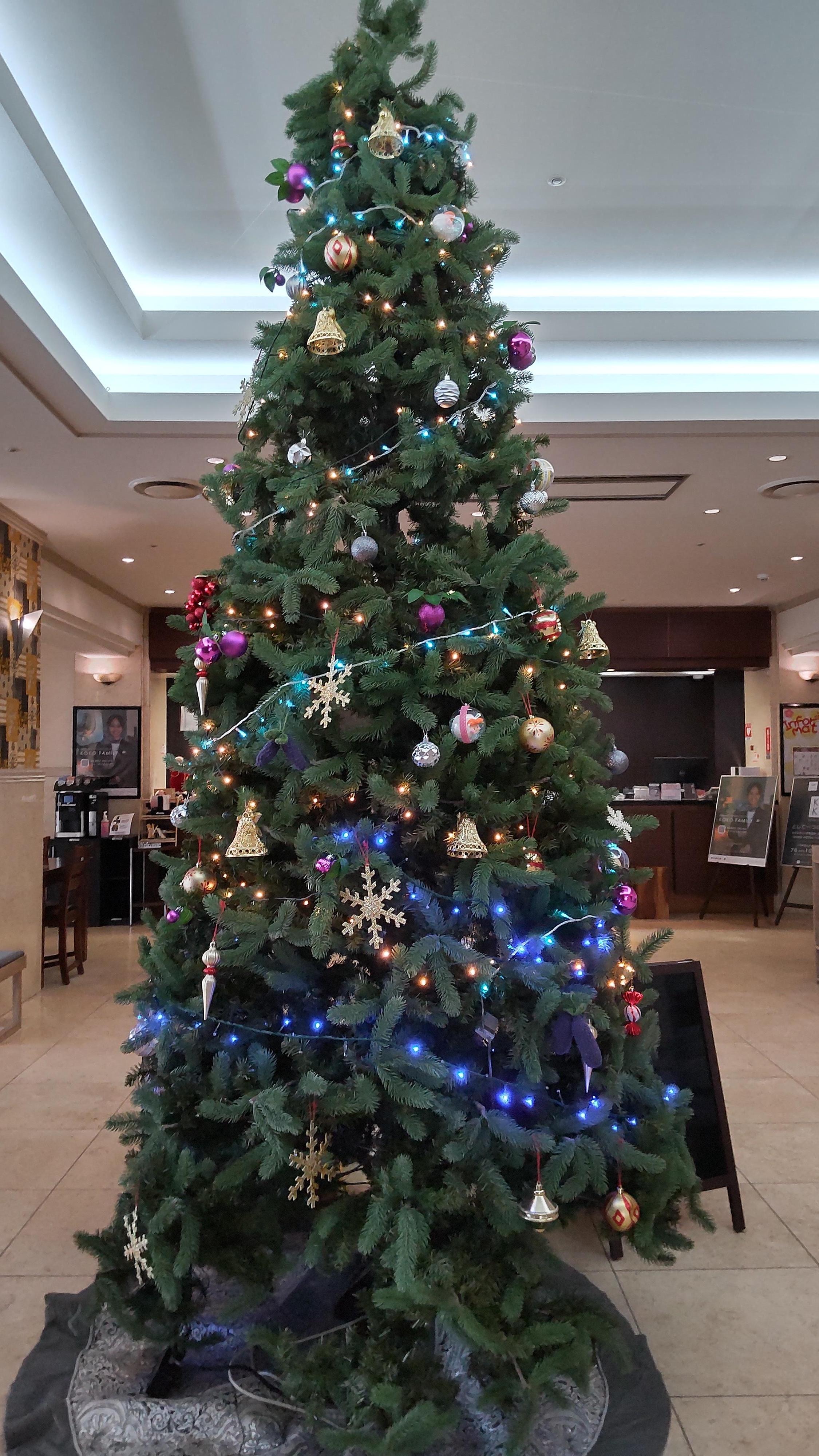 ロビーのクリスマスツリーキレイでした。