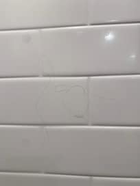 Hair on the shower wall.