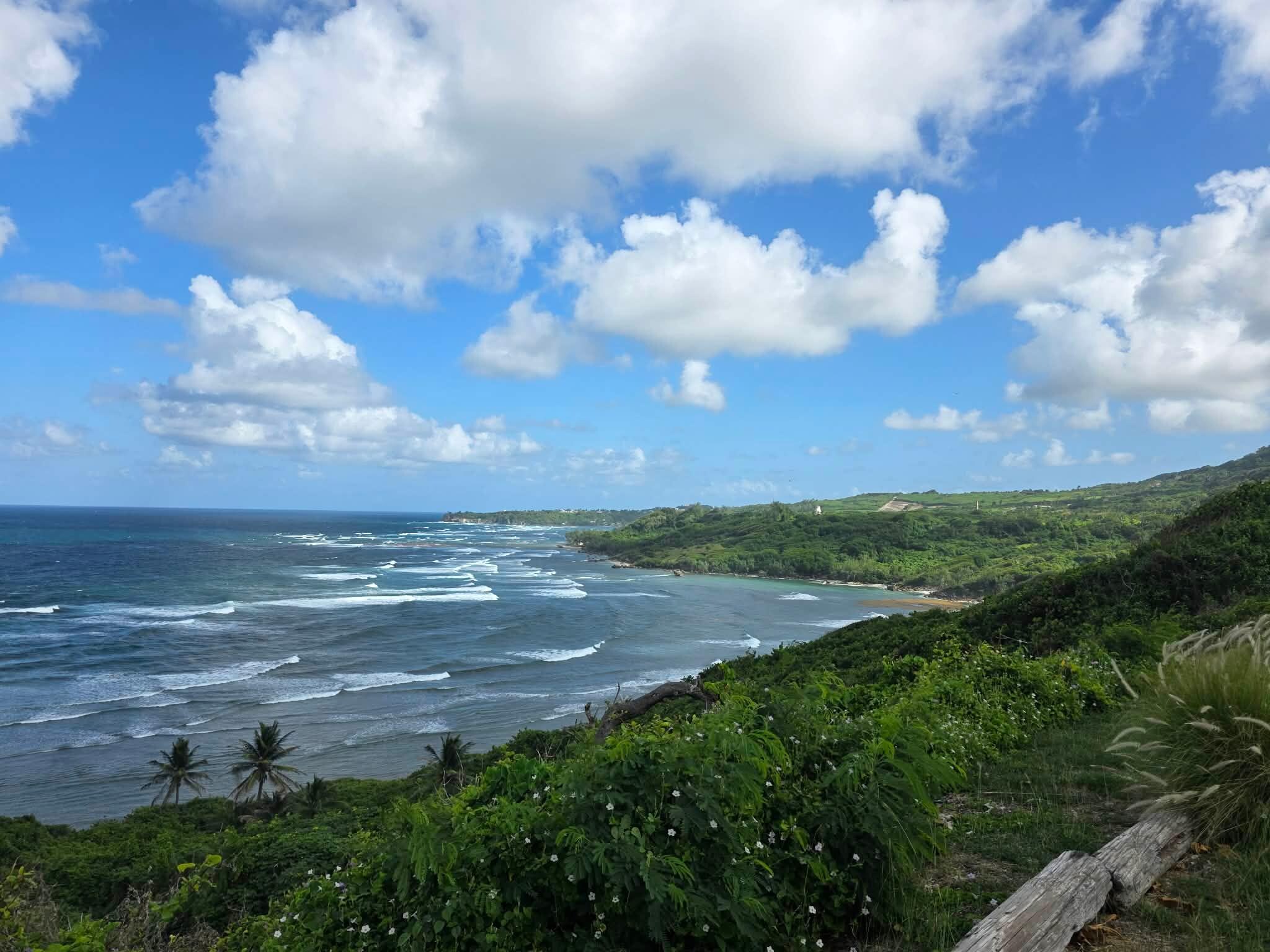 The view down the coast
