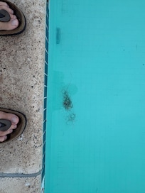 Bilder vom Pool