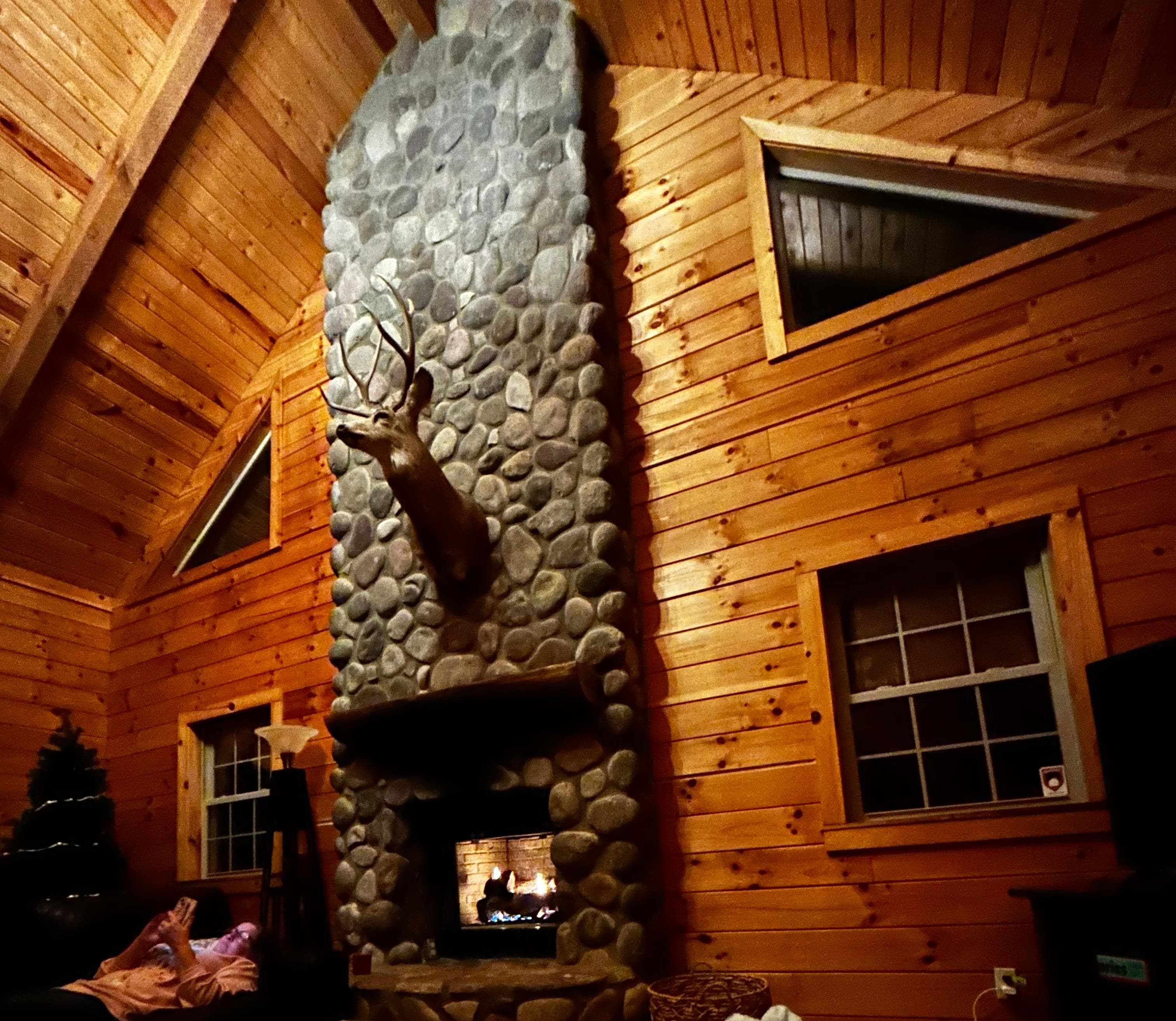 The far left corner is how it’s “decorated for the holidays”. No lights or bulbs on the tree,either. Railing behind had cheap plastic garland. Again no lights. The property description was misleading.