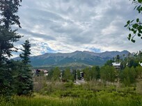 Back patio view