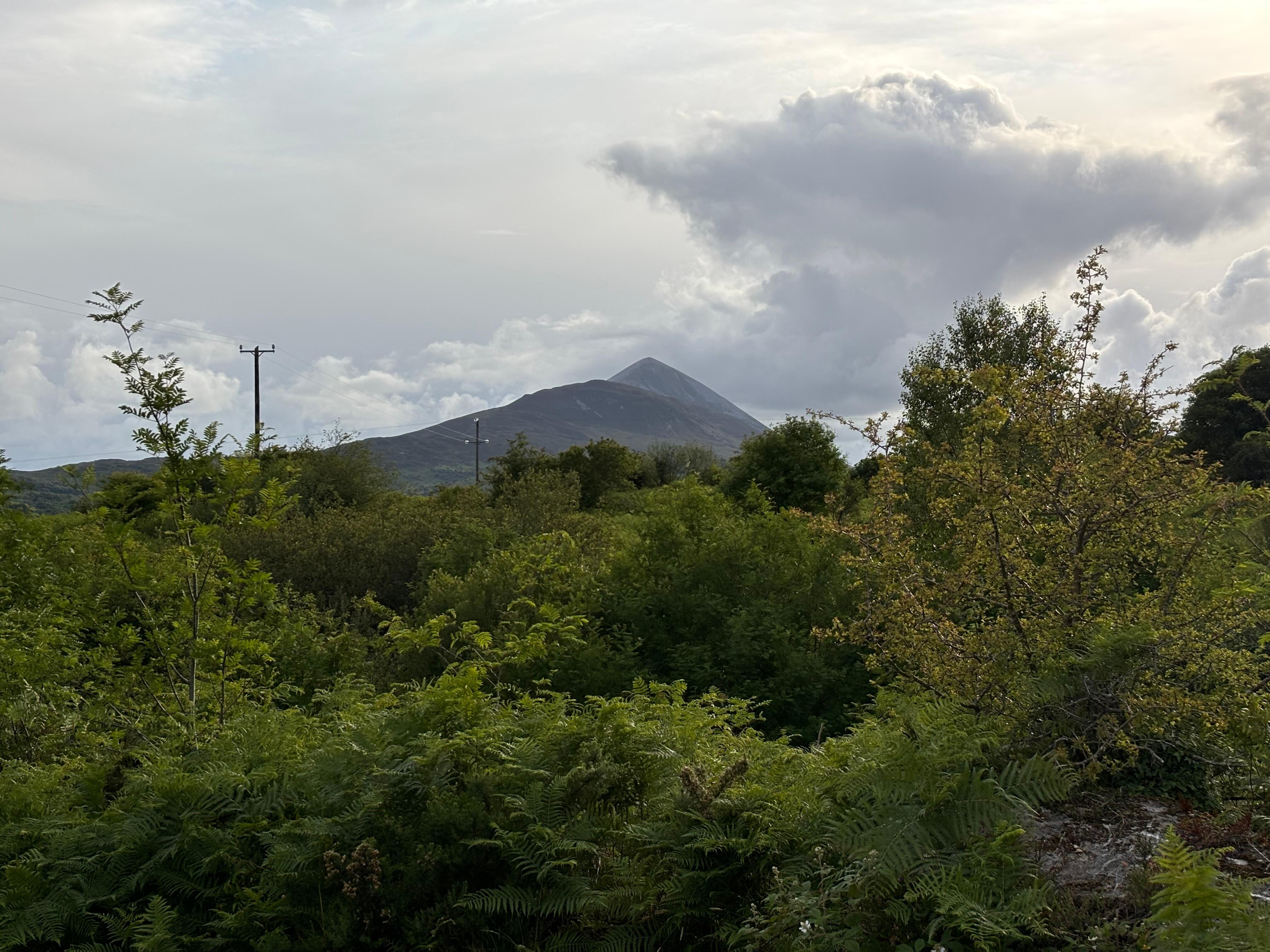 View from the kitchen (Croagh Patrick)
