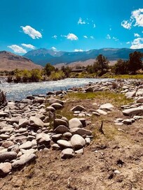 Bank of the Yellowstone River steps from the cabin.