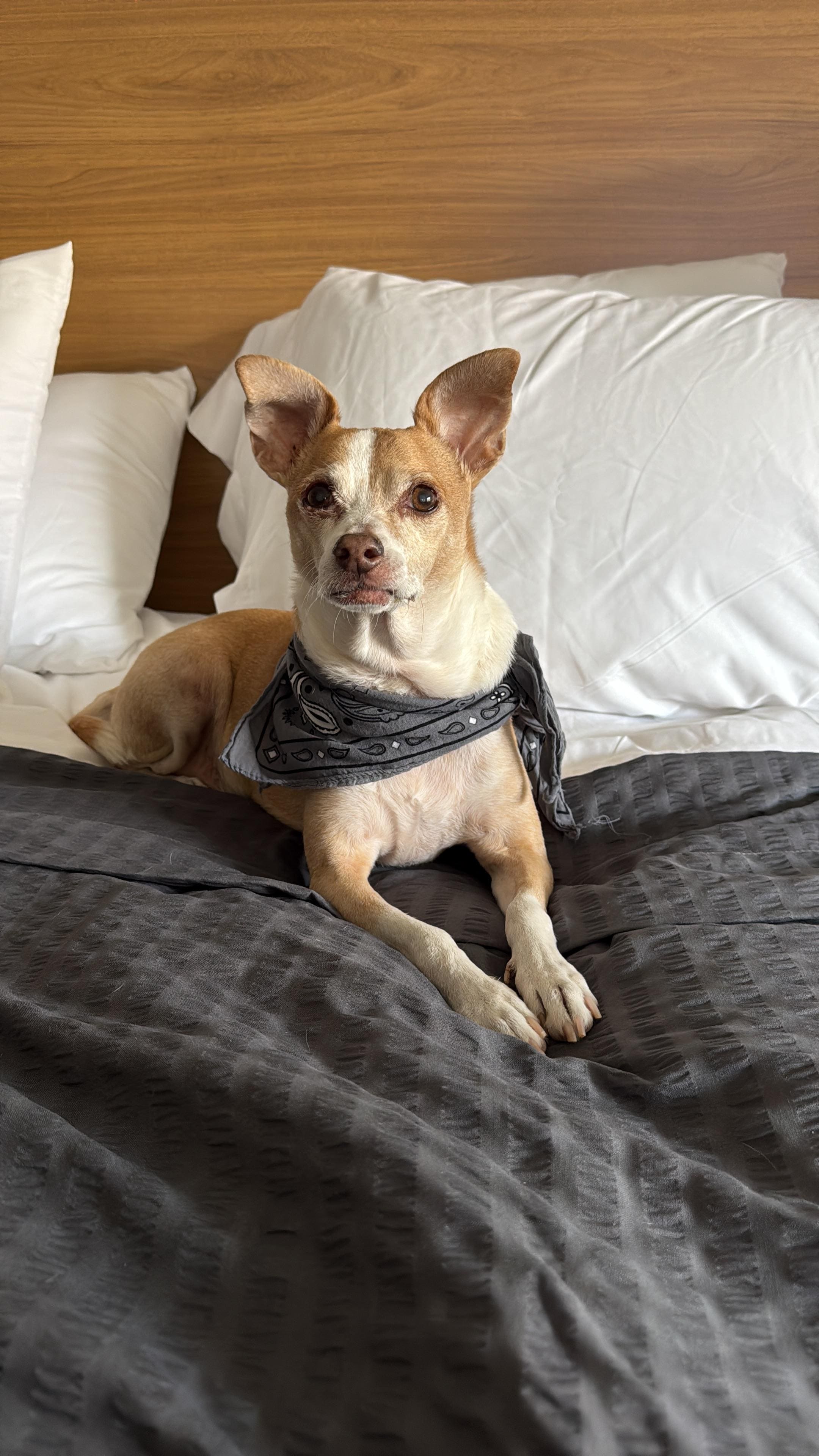 Like a king!!! Thank you so much