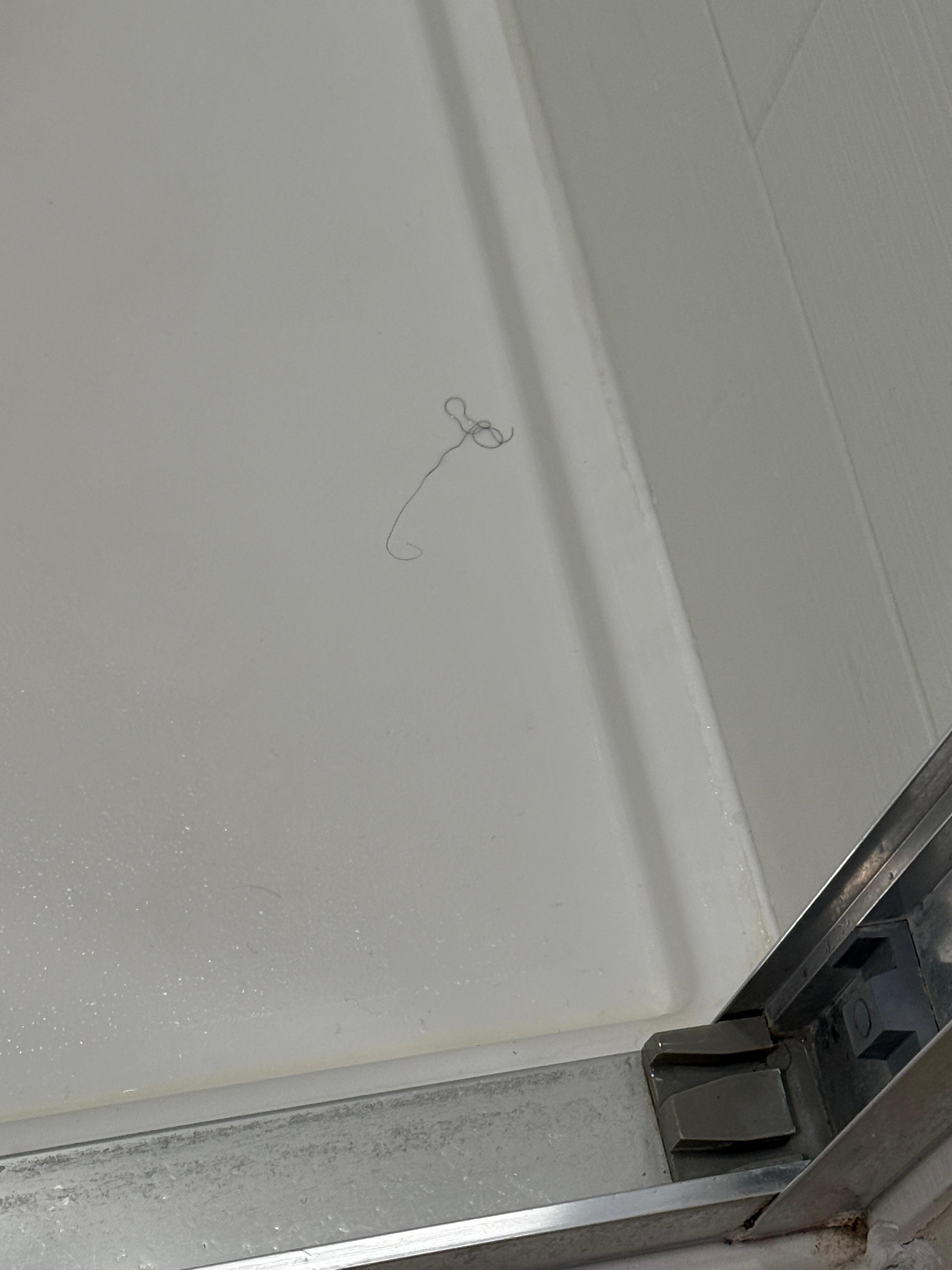 Hair in the shower before cleaning
