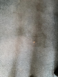 1 of many stains on the carpet in the room. Many more throughout the property and in the hallways