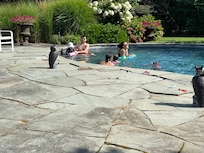 Everyone enjoyed the pool
