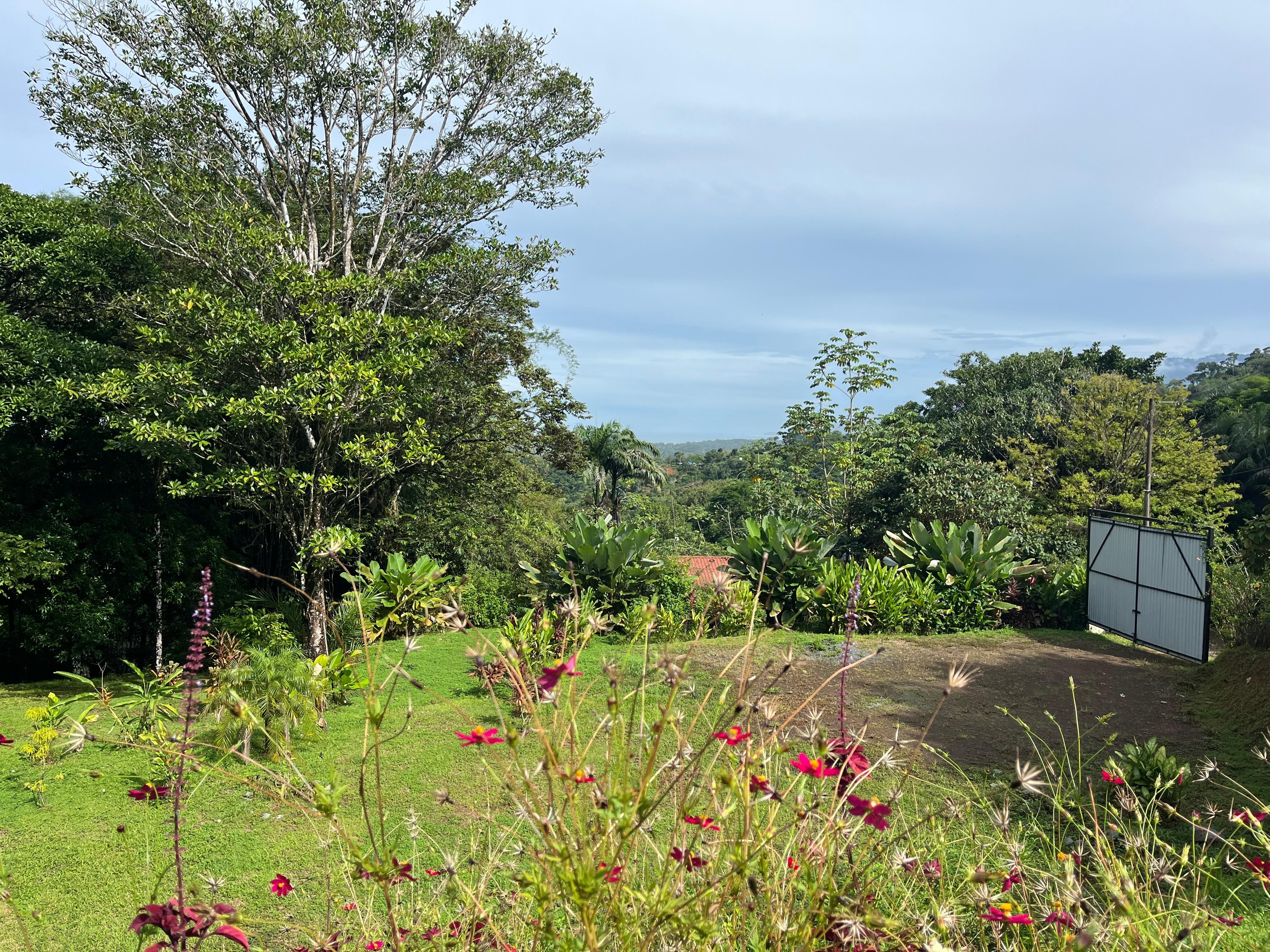 The view from the porch. 