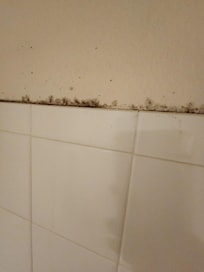 Mold in bathroom shower